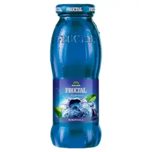Fructal Nectar Blueberry Juice 200ml - Global Imports & Exports - Wholesale European Food Distributors